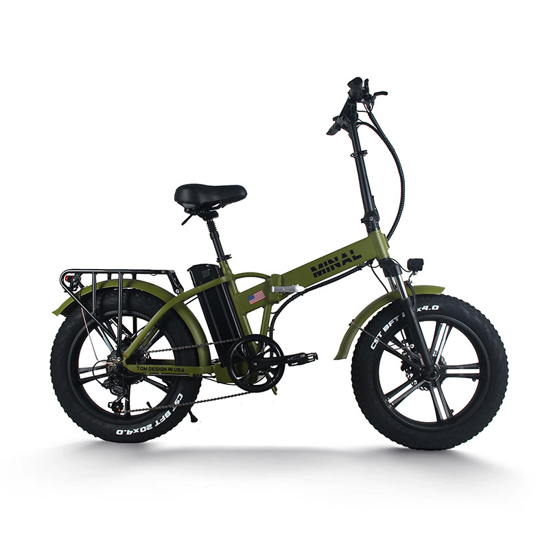 48V 350W 10.5Ah FTC200 전기 자전거  - Cycling Gear And Equipment 리뷰 및 가격