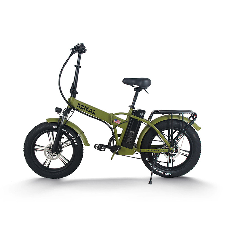 48V 350W 10.5Ah FTC200 전기 자전거  - Cycling Gear And Equipment 리뷰 및 가격
