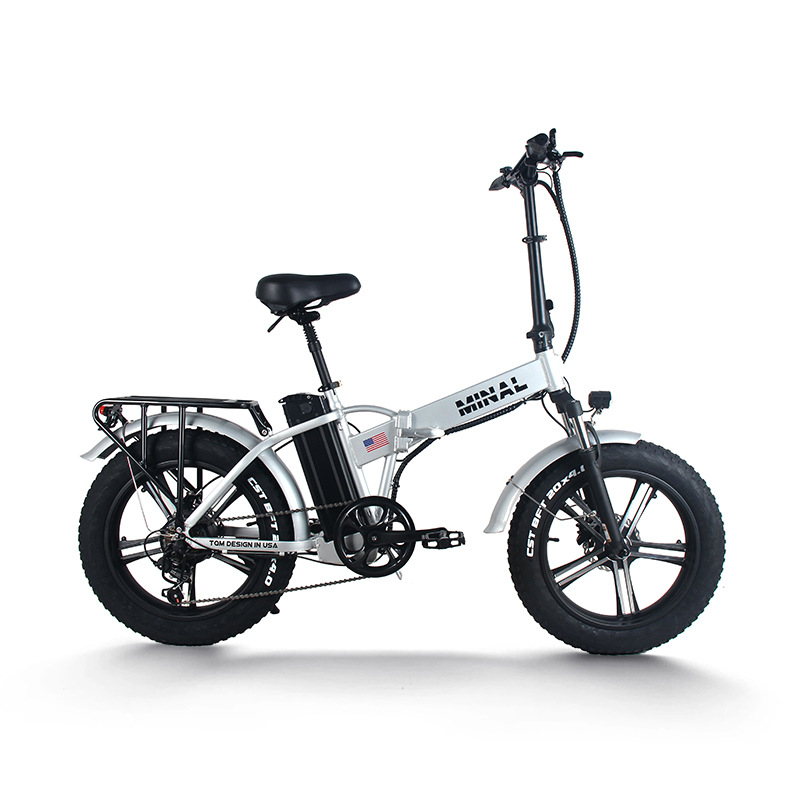 48V 350W 10.5Ah FTC200 전기 자전거  - Cycling Gear And Equipment 리뷰 및 가격